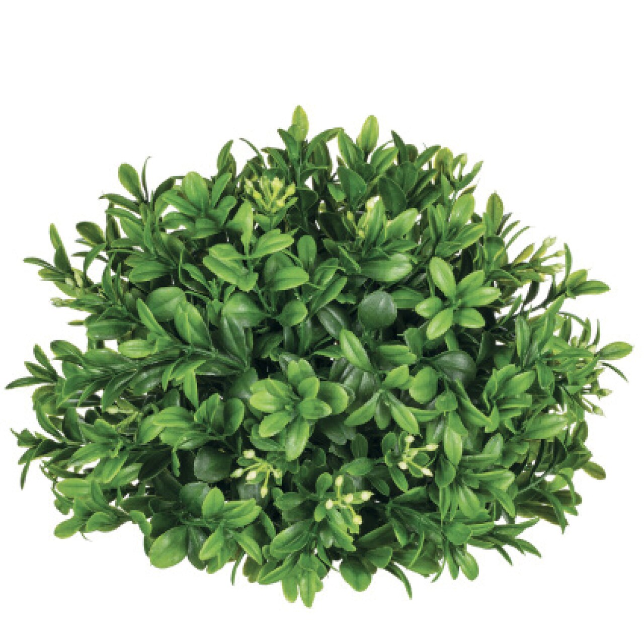Sullivan's New England Boxwood Half Orb, Green Faux Floral Decor for Crafting, Weddings, Home and Holiday Decoration, 5.5 Inch